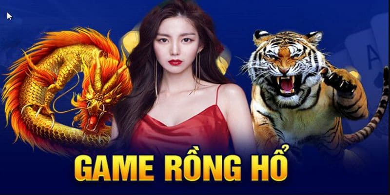 Theo dõi xu hướng để đặt cược rồng hổ chính xác hơn